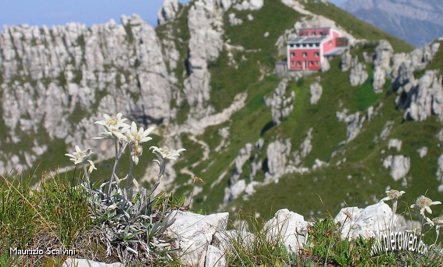 10 Rifugio delle stelle.JPG